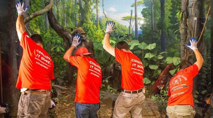Carroll - Dioramas at the Academy of Natural Sciences