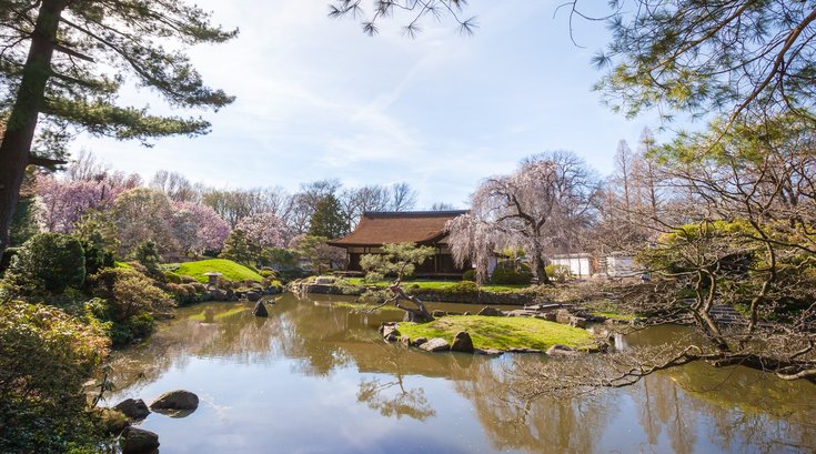 Carroll - Shofuso Japanese House and Garden