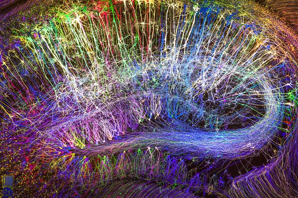 Carroll - Mind Illuminated Exhibit Mutter Museum