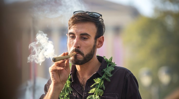 Carroll - Pup Up Weed Garden N.A. Poe Smoking Pot