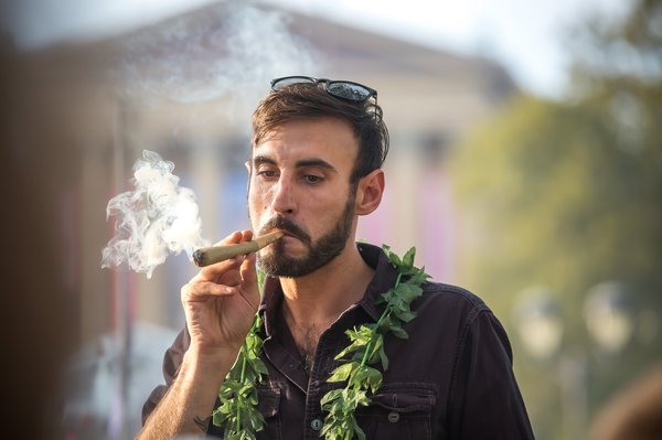 Carroll - Pup Up Weed Garden N.A. Poe Smoking Pot