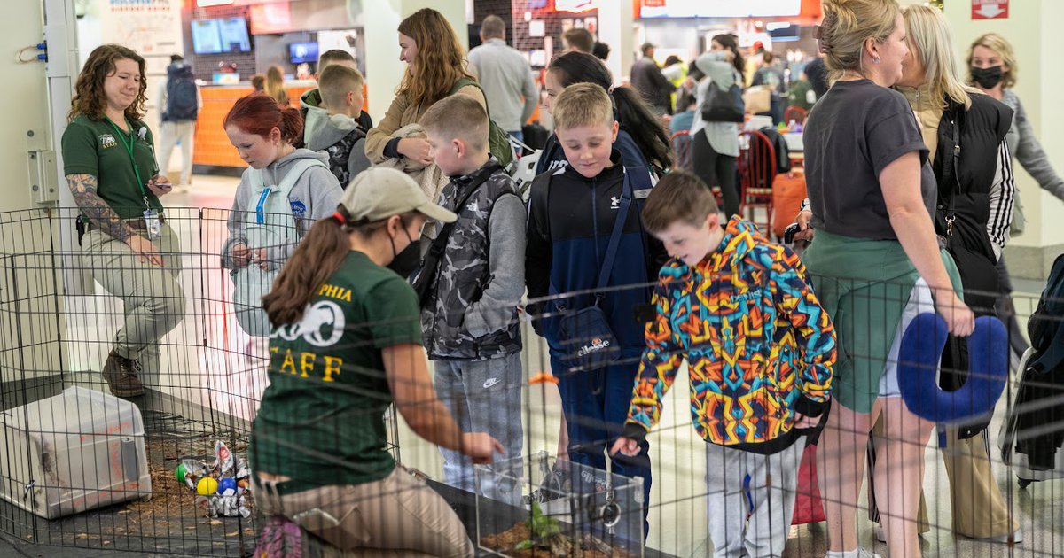 Things to do at the Philadelphia airport: See zoo animals on select Thursdays between Terminals B and C - Vimarsana News