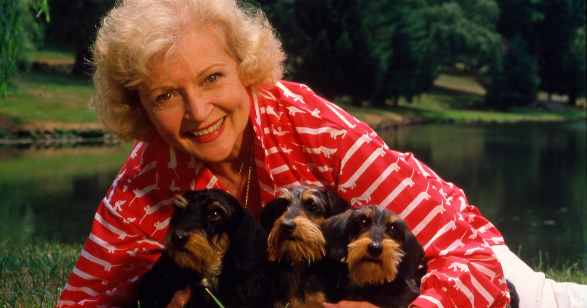 Wine Dive, Sonny's Cocktail Joint hosting celebration on South Street in honor of Betty White's 100th Birthday - Vimarsana News