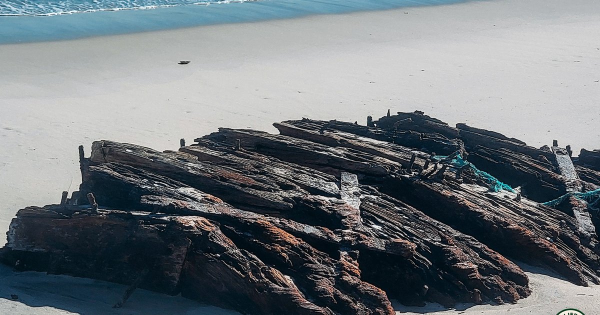 Shipwreck from 1890 washes ashore at Island Beach State Park
