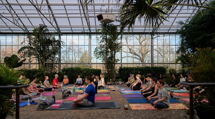 Greenhouse yoga Fairmount Park