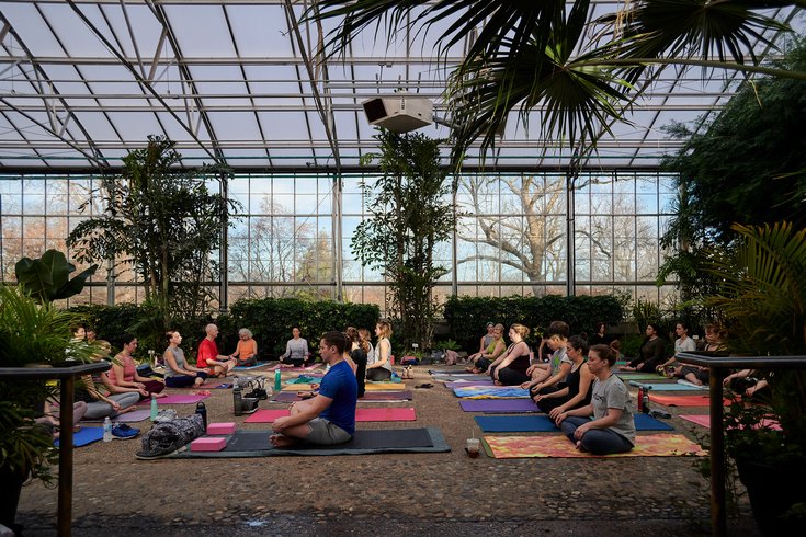 Greenhouse yoga Fairmount Park