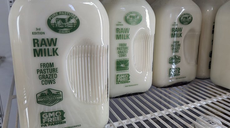 Raw Milk RFK