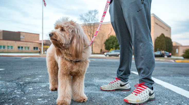 Cherry Hill East service dog