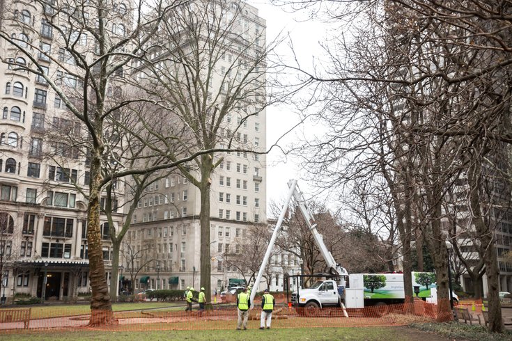 Carroll - Rittenhouse Tree Removal