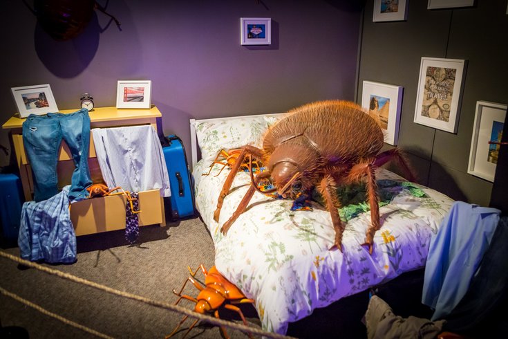 PHOTOS: Giant bugs at the Academy of Natural Sciences ...