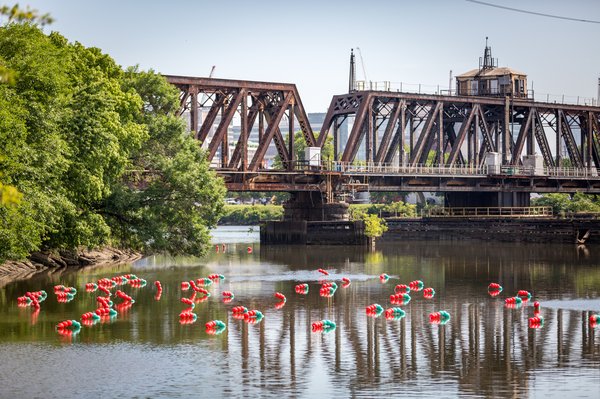 Carroll - Tide Field Art Installation at Bartram's Garden