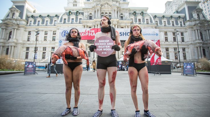 Carroll - PETA Wool Protest