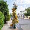 Cape May flower displays