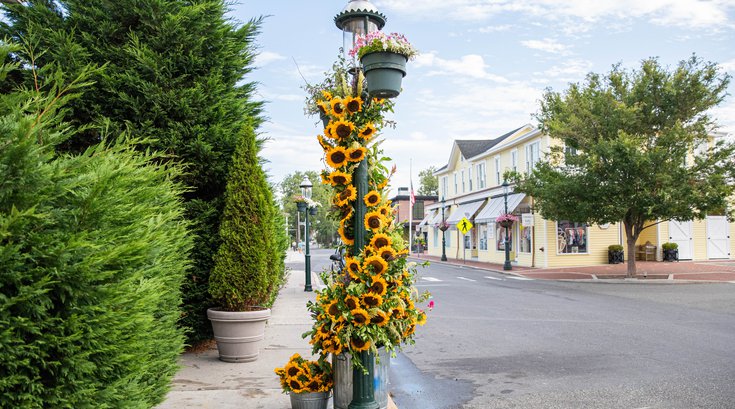 Cape May flower displays