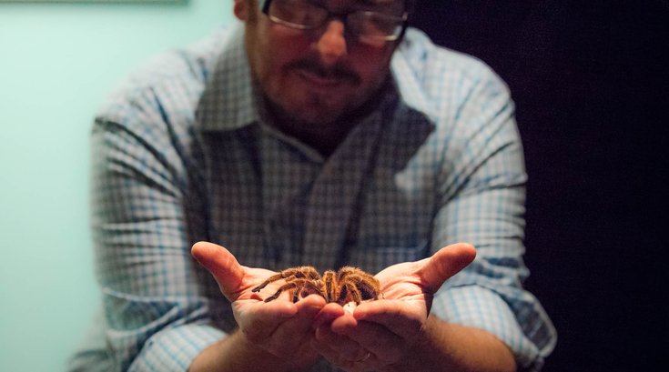 Carroll - Brian Hickey Holds a Tarantula