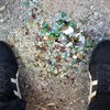 Carroll - Broken Glass From Recycling Trucks