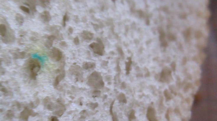 02012019_mold_bread_flickr.