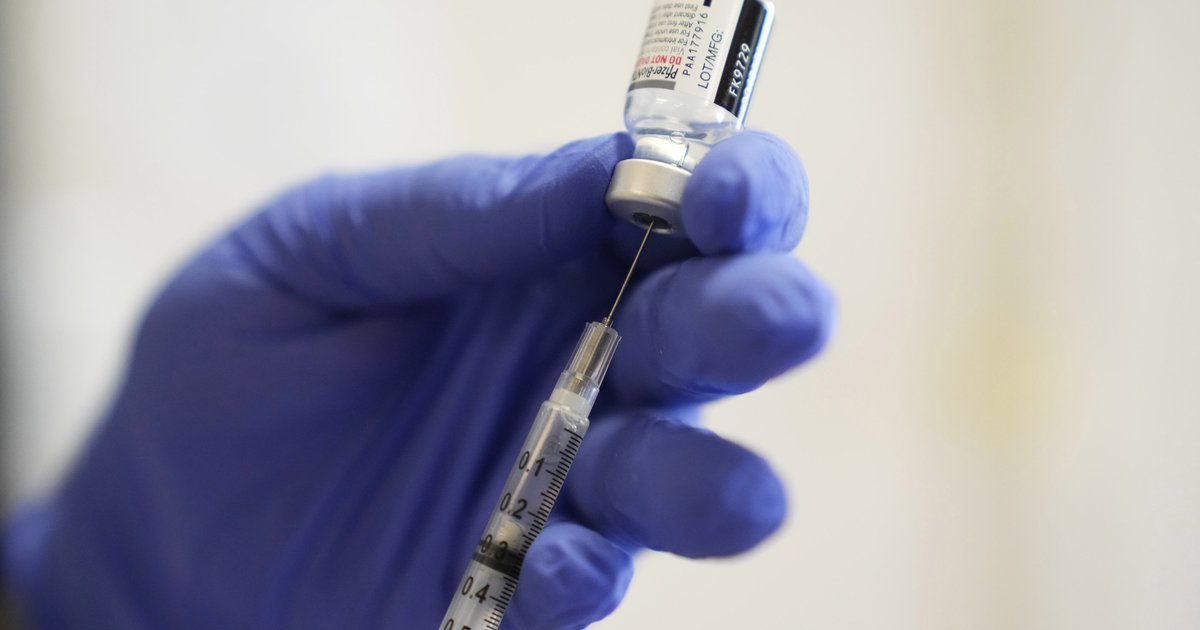 COVID-19 vaccines do not have a negative impact on fertility, study finds - Vimarsana News