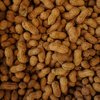 Palforzia Peanut Allergy Drug
