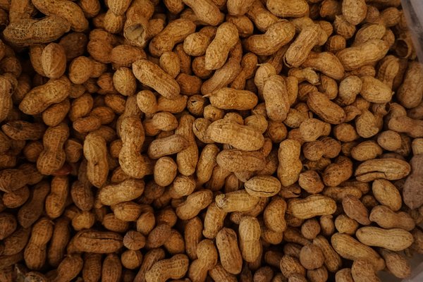 Palforzia Peanut Allergy Drug