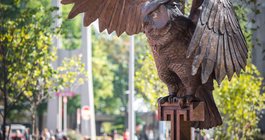 College diversity affirmative action