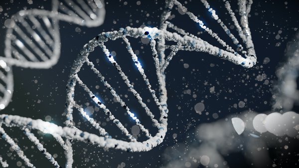 Genetic risk with avoidant restrictive food intake disorder
