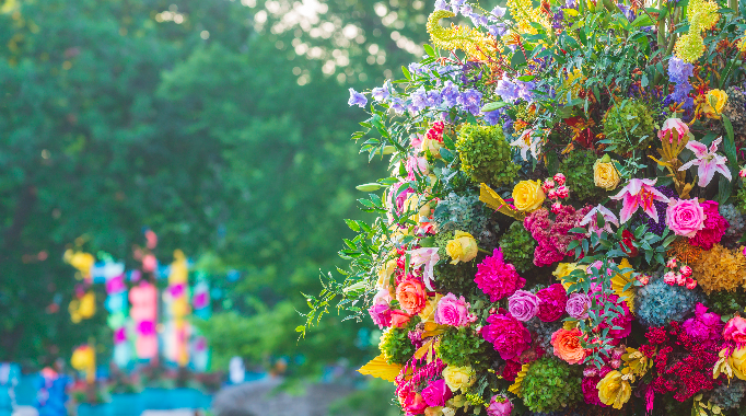 PHS In Full Bloom
