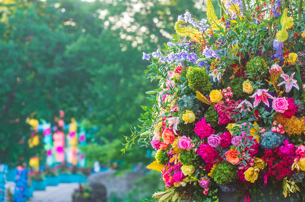 PHS In Full Bloom