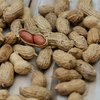 Adult-onset peanut allergy