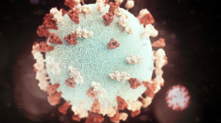 Mumps New Castle high school