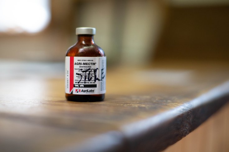 Ivermectin Cancer Research