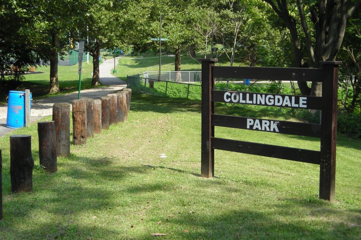 Collingdale Park pond rescue