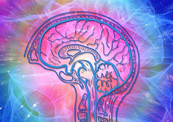 Brain Death EEG