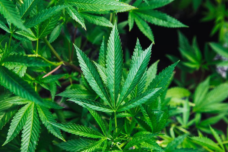 Pennsylvania Marijuana Bill 21