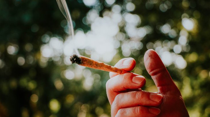 Marijuana Heart Disease