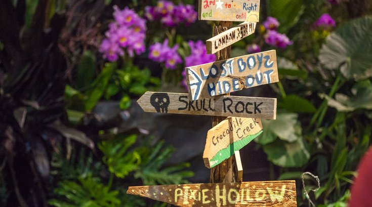 Flower Show Peter Pan