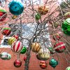 Carroll - Holiday Decorations