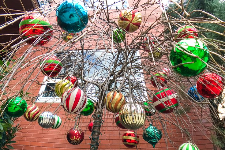 Carroll - Holiday Decorations