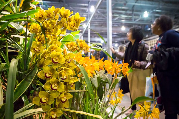 Philly Flower Show