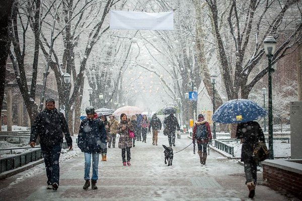 03022016_light_snow_generic_AP