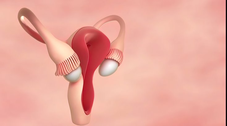 Fallopian Tube Removal