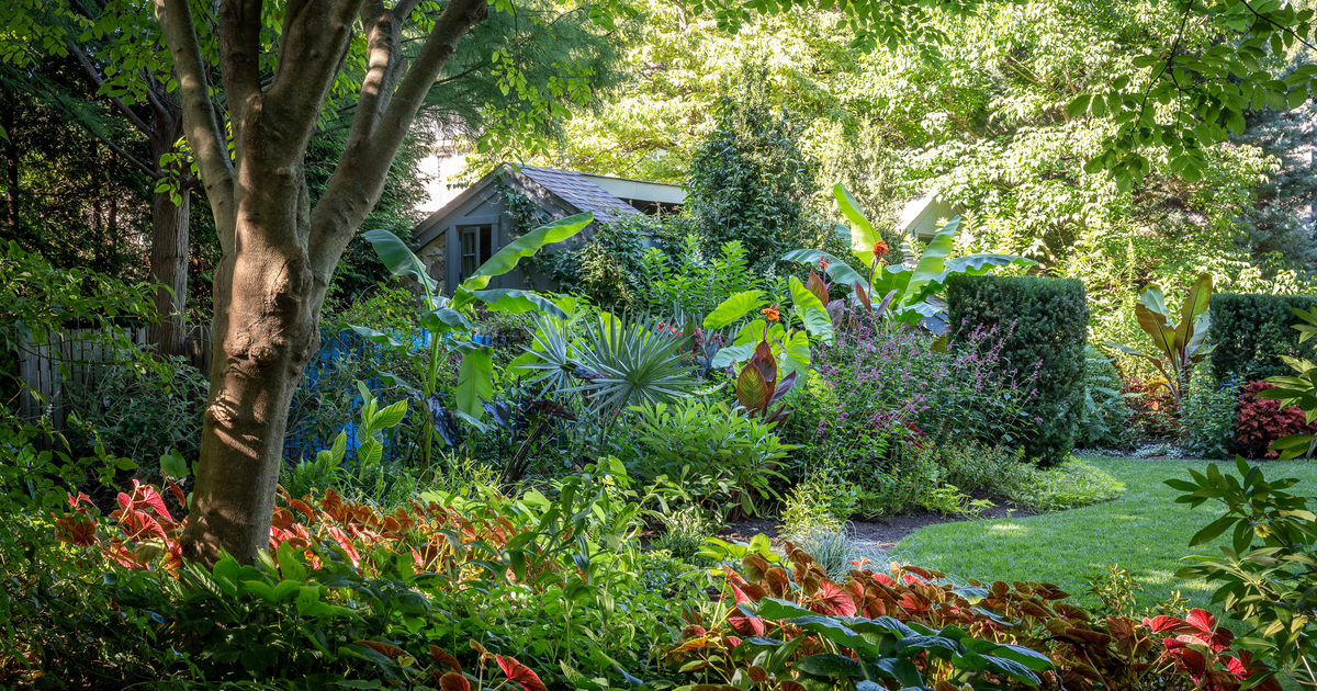 Gardens in Philly and the suburbs are featured in new book - Vimarsana News