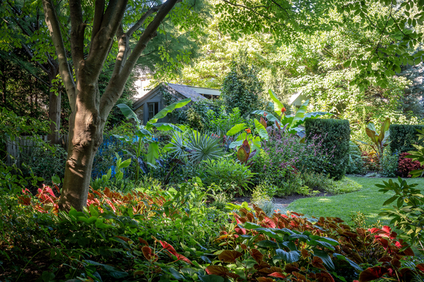 philly gardens book