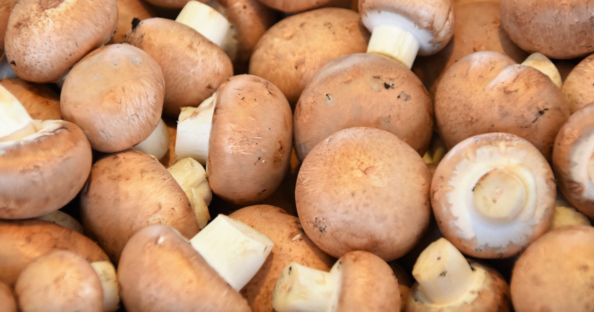 Details on 2019 Kennett Square Mushroom Festival | PhillyVoice