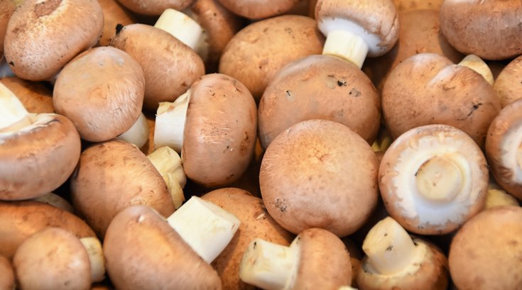 Kennett Square's 34th annual Mushroom Festival