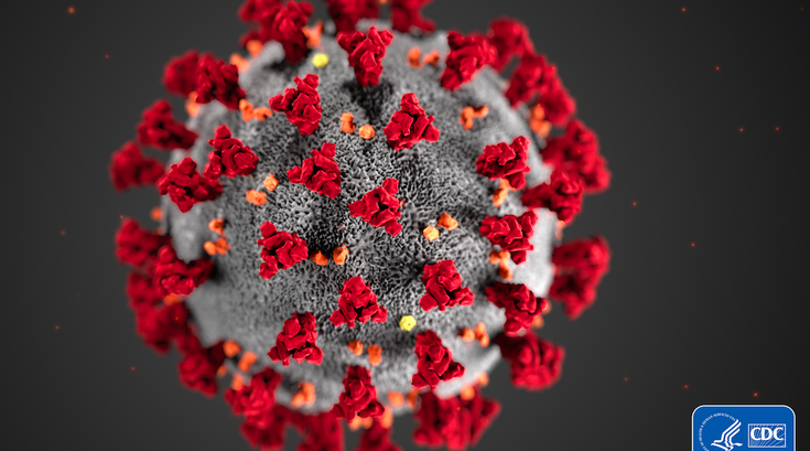 Coronavirus cases Philly region