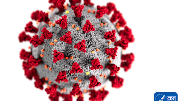 Telehealth Coronavirus