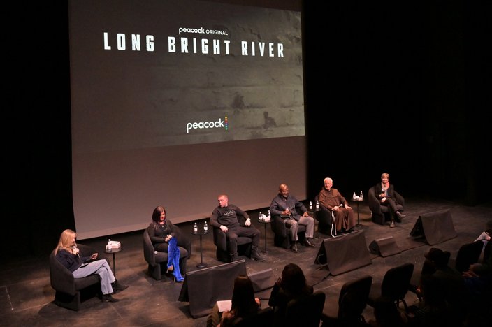 long bright river panel