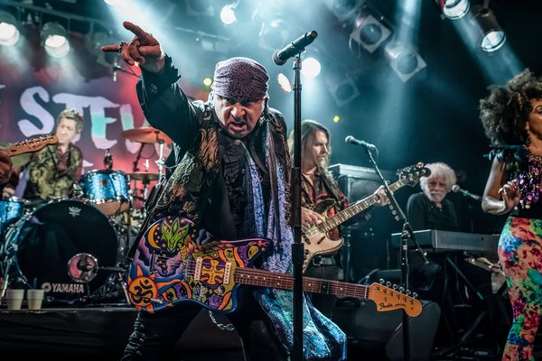Steven Van Zandt memoir