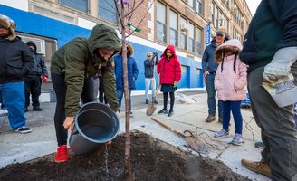 Urban Tree Planting